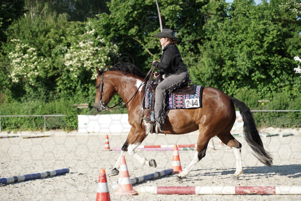 s_APF07102.jpg